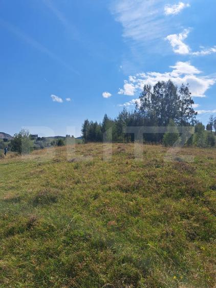 Teren extravilan 4.604 mp cu curent – ideal pentru cabană, zona Trans Apuseana