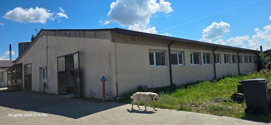 Proprietate imobiliara, Com. Farcasa, jud. Maramures