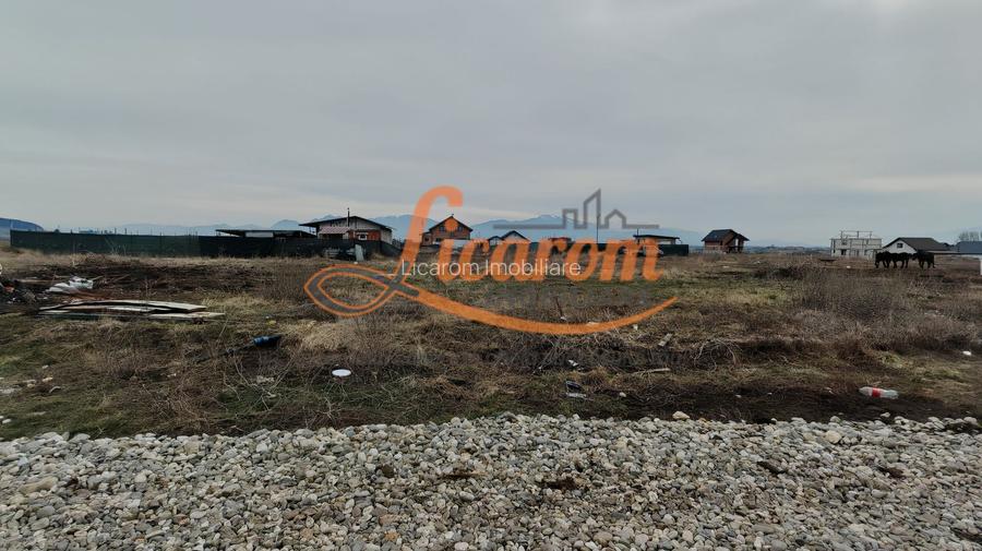 Teren intravilan in suprafata de 644 mp in Sanpetru pret 37000 euro - 2