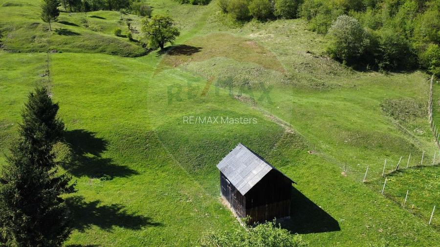 Teren 12,127mp Frasin / Drumul Forestier Valea Seacă - 15