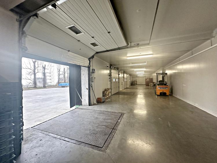 Hale frigorifice de închiriat în zona Est, Centura Oradea, Bihor