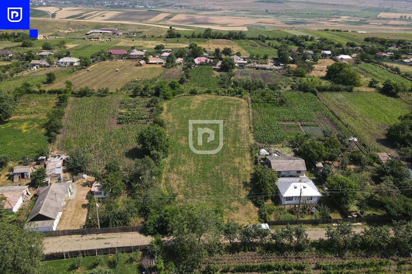 Teren - Ionășeni | BOTOȘANI | 3.285mp