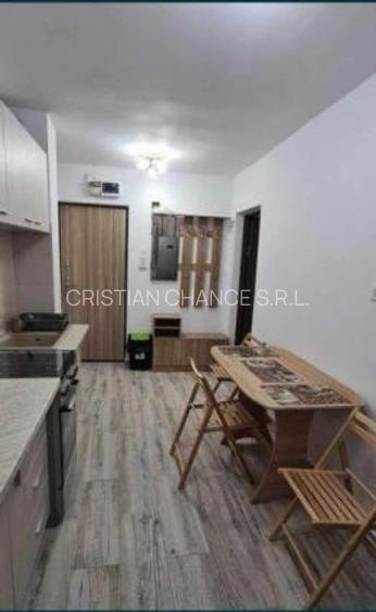 38358  Apartament 2 camere Sat Vacanta - 3