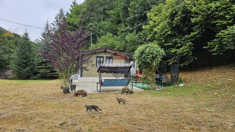 Căsuță de vacanță de vânzare – comuna Alexandru cel Bun, Neamț - 2