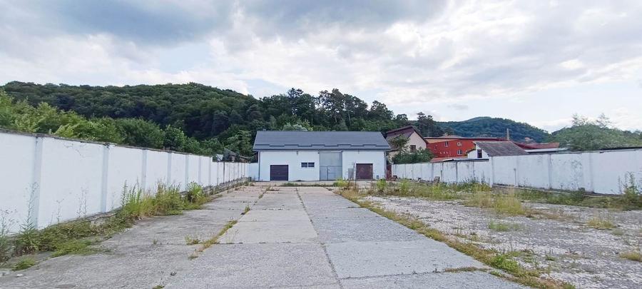 Proprietate cu 2 hale si casa la inchiriat,teren 1350mp