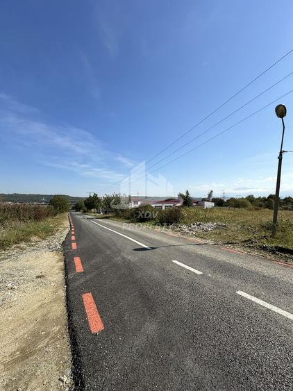 Constructie structura 3707 mp, teren intravilan aferent 8828 mp Sibiu /Selimbar