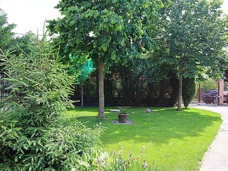 Vila/Casa cu teren generos langa Padurea Verde intrare Dumbravita