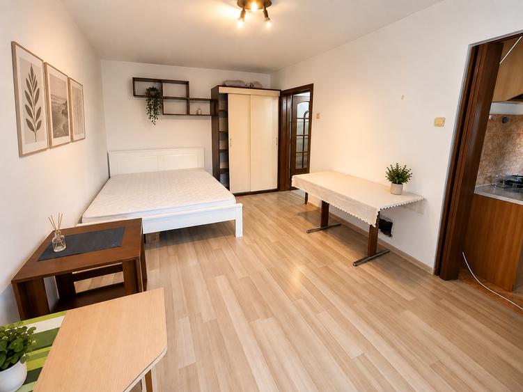 Apartament cu o cameră Bucovina