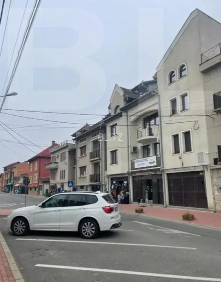 Clădire investiție cu venit -SAD inchiriat- Lugoj- Strada Splaiul Morilor - 3