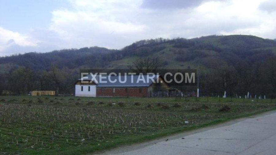 RUSCA TEREGOVA- HALA PRELUCRARE LEMN- TEREGOVA- CARAS SEVERIN
