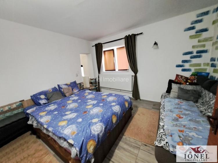 Vanzare casa cu 19.549 mp teren in Vintu de Jos - 4