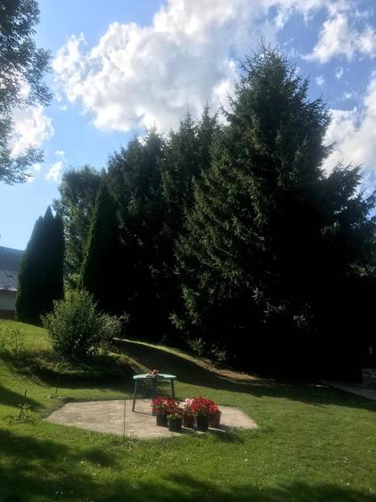 Proprietate de Vânzare în Brebu Nou-Ideală pentru Casă de Vacanță sau Investitie