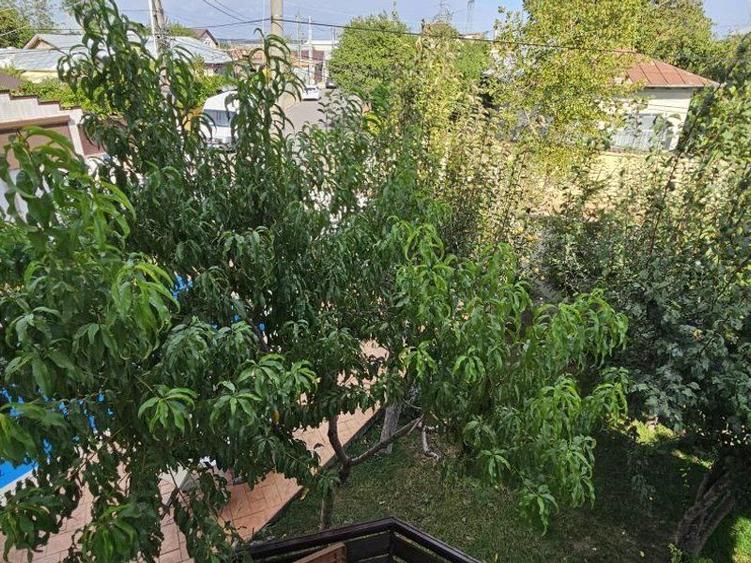 Glina vila noua 6 camere cu piscina