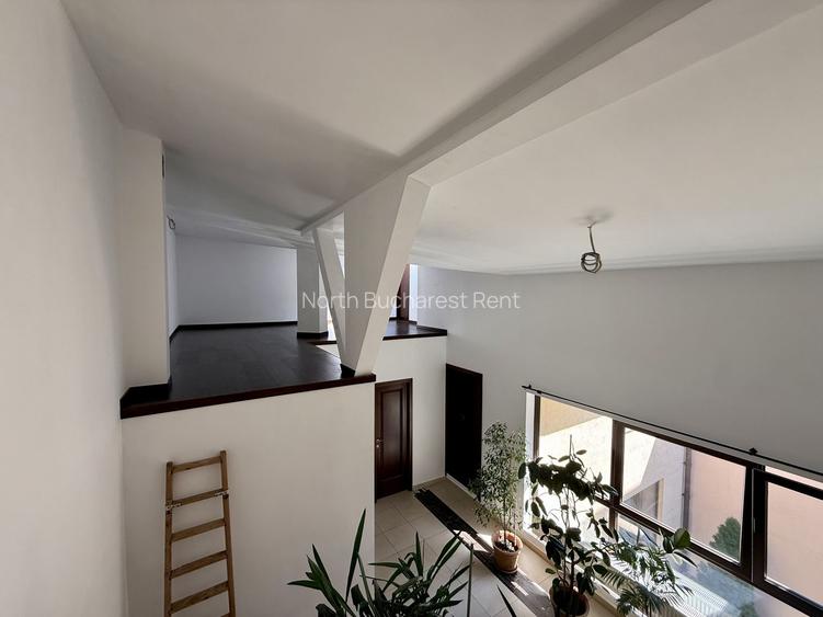 SPATIU COMERCIAL | DOMENII | 300 MP | 180 MP CURTE - 10