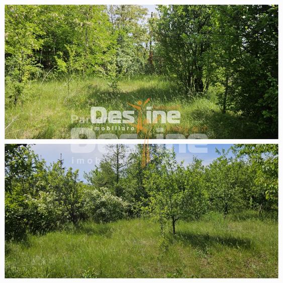 Tomesti-Chicerea, teren intravilan 3523 mp