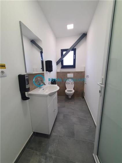 Royal Imobiliare - Vanzare spatiu industrial in zona Paulesti
