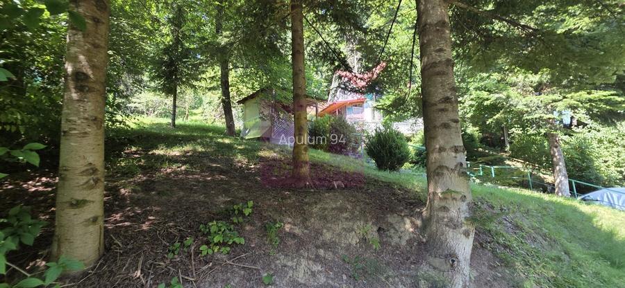 Teren intravilan 979 mp Sinaia, Furnica - 5