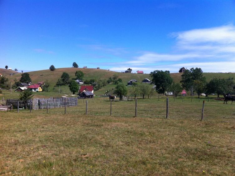 Teren superb pentru construcții de vânzare în Șirnea, Jud. Brașov