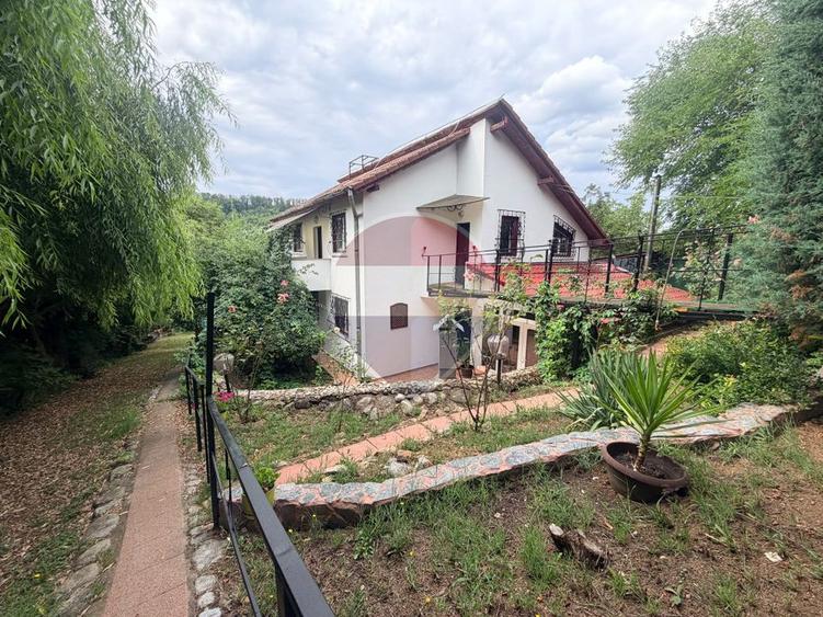 Leamna de sus, casa cu piscina, 2000mp