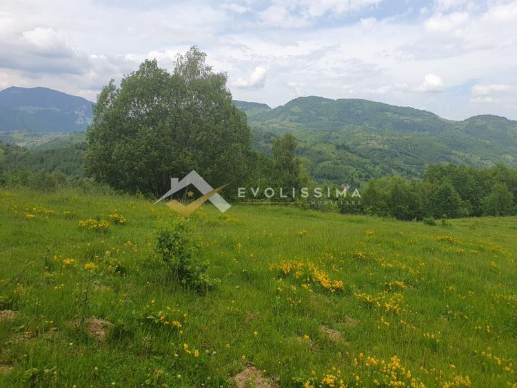 Investitie Teren intravilan 11.396 mp Moieciu de Jos
