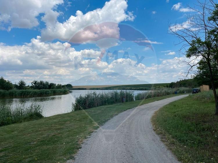 Teren 4.350 mp Balta Pasarea - 30 minute Bucuresti