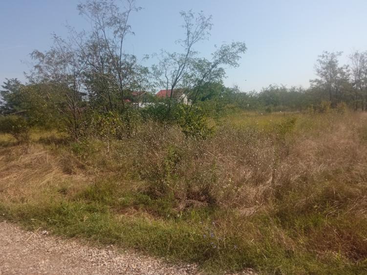 Teren 100Omp, Clinceni, Str Rozelor