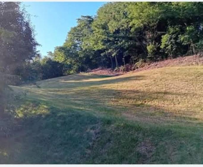 Teren intravilan 2.621 mp în Șinca Nouă Brașov Deschidere 60m
