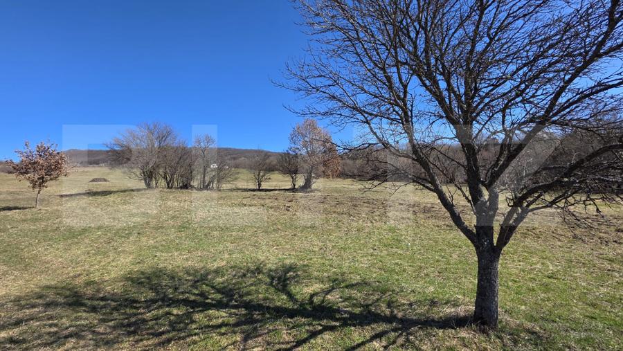 Teren de vanzare de 8,567MP in zona: Tarpiului