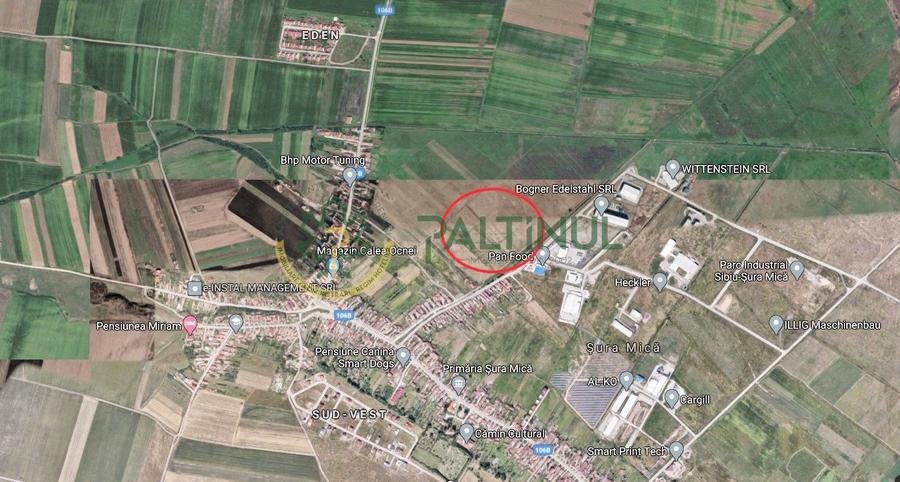 Teren de vanzare 6000 mp în Sibiu, Sura Mică