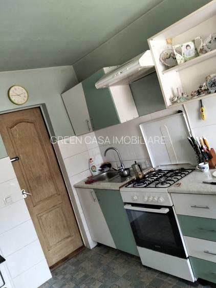 Casă 60 mp utili, teren 1.400 mp | Borșa (Răscruci), Cluj