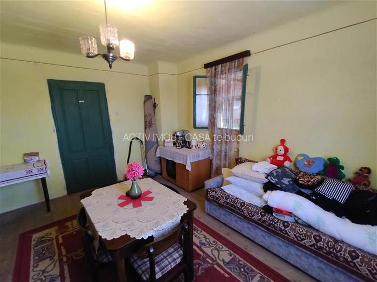 Rachitova, Casa 8 Incaperi, 3800mp Teren, Usor Negociabil - 26