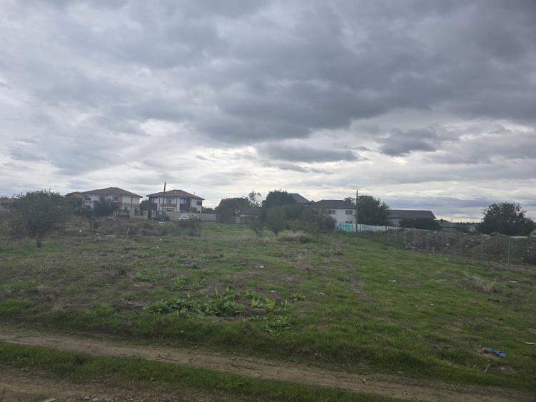 Teren de vanzare in Palazu Mare