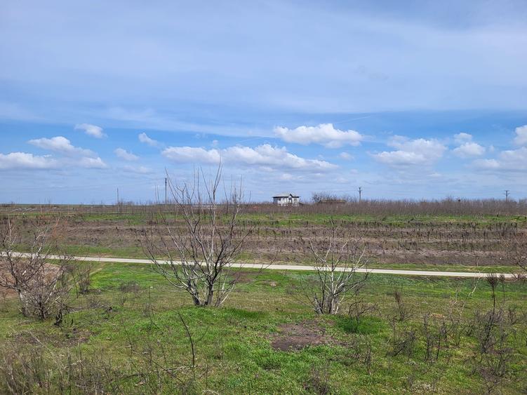 VANZARE TEREN PRUNDU INTRAVILAN AGRICOL GIURGIU POTENTIAL