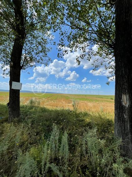 Teren extravilan 7.000mp, Mirosava - Ferma Liliac, acces auto - 2