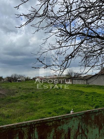Teren intravilan 1000 mp in Dinias 20km de Timisoara