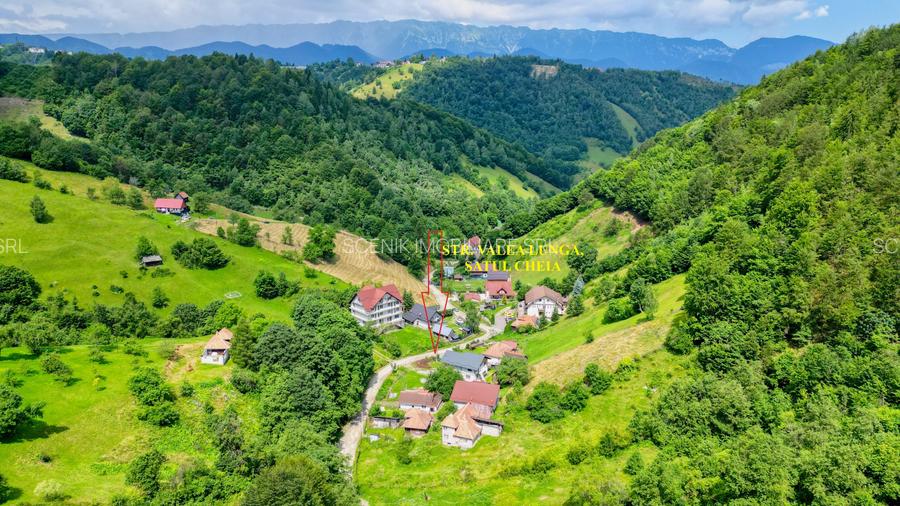 Investitie Smart in Moieciu, 3.1 ha, Panoramă 360 Bucegi - Piatra Craiului - 2