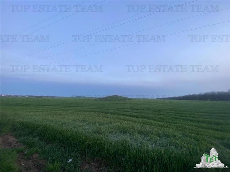 Teren intravilan 15000 mp Costinesti, Constanta