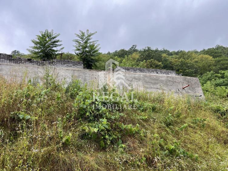 Proprietate cu potențial, într-un cadru natural de vis – 3581 mp teren
