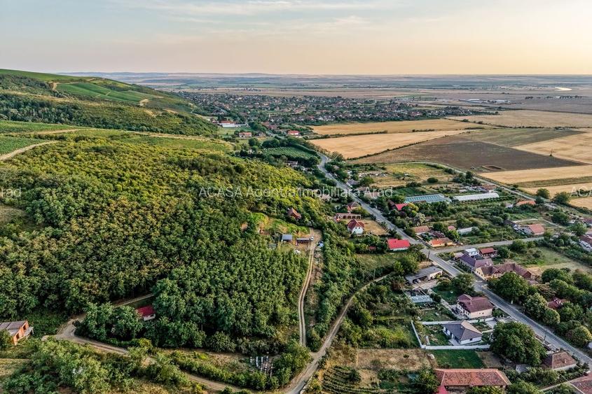 Teren pe deal, 1.150 mp, în Miniș, front 26 m, Drumul Vinului - 10