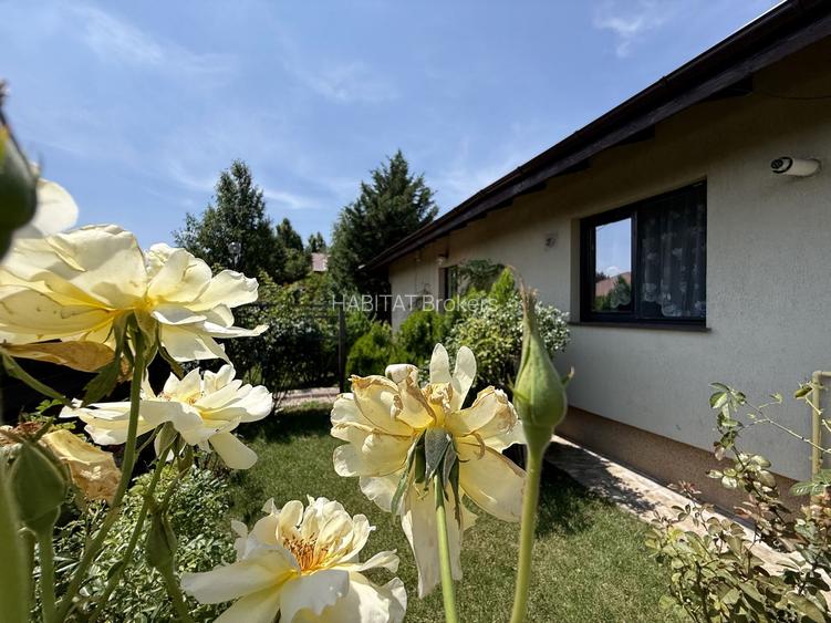 Casa pe parter Balotesti | Teren 600 mp - 4
