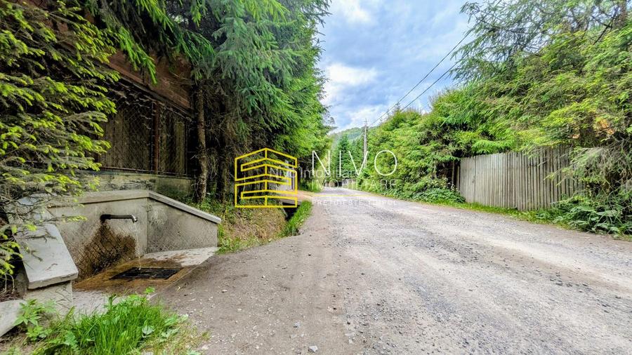Cabană – Mureș – Sălard – Zona Pensiunea Denisa - 23