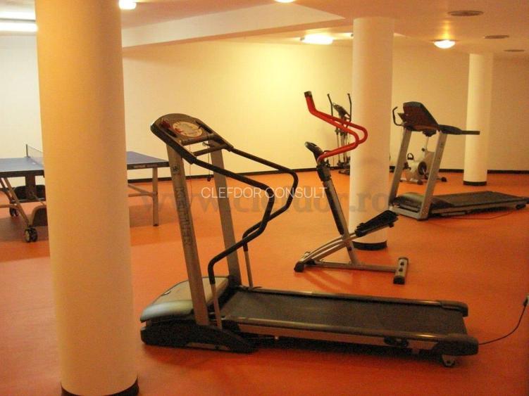 Apartament cu acces la piscina- Zona Iancu Nicolae - 20