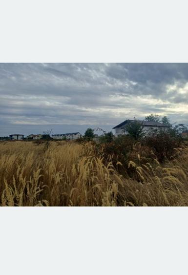 Teren de Vanzare | Domnesti | Intravilan | 650 MP