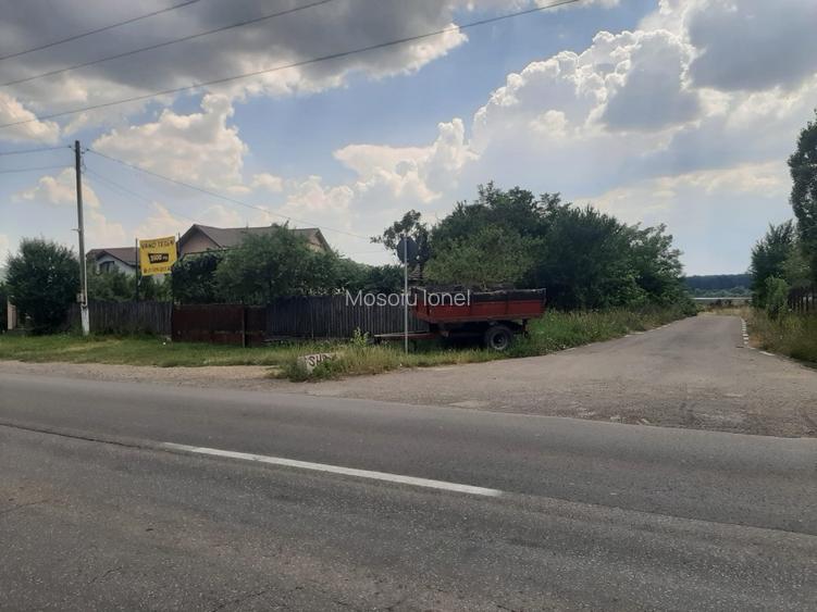 PROPRIETAR Teren stradal ILFOVENI - 8