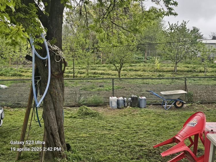Colt de rai refugiul tău verde în inima naturii