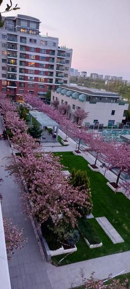 Barbu Văcărescu apartament  cu vedere la lac