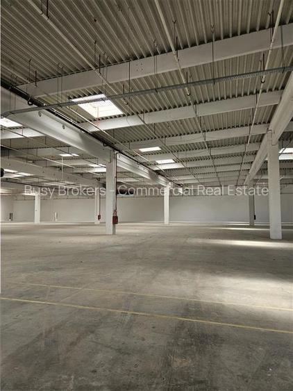 Spatiu Industrial - 9500 mp - Logistica - Productie - Depozitare - Distributie - 5