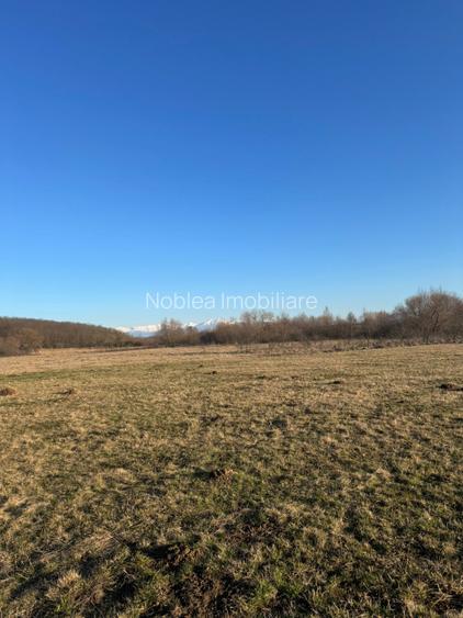 Oază de liniște cu vedere la munți – 2.400 mp lângă Aeroportul Sibiu (Cristian) - 4