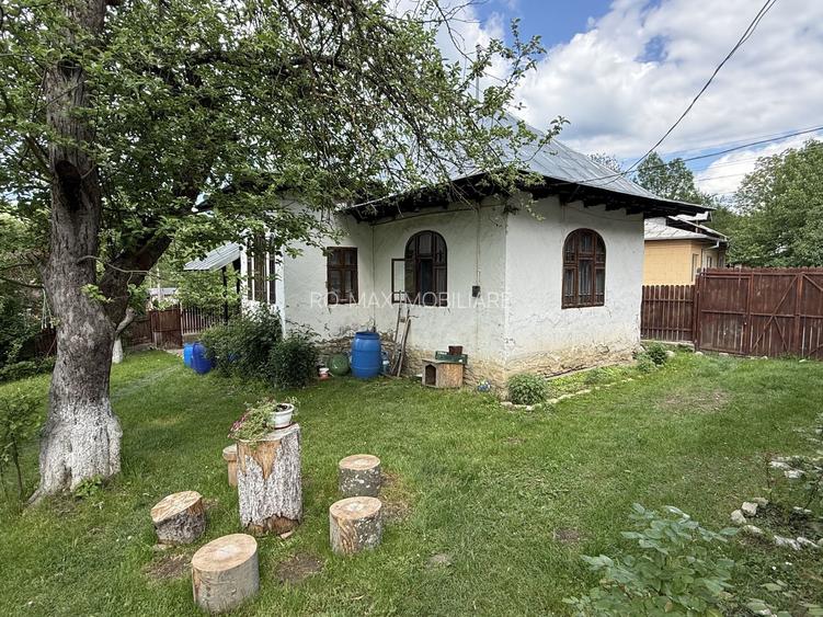 2 Case + teren 1390 mp langa parcul central Provita de Sus - 25
