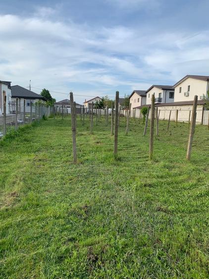 Stefanesti Vanzare teren  lot 2000mp(120eur/mp)- lot 600mp (80eur/mp)